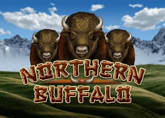 Northern Buffalo