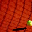 Enjoy a Sports Betting-like Experience with Tennis