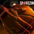 How Many Teams Make the NBA Playoffs