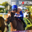 horse race predictions and odds explained