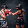 UFC Fight Night Predictions Lemos vs. Jandiroba