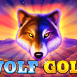Wolf Gold Slot Review