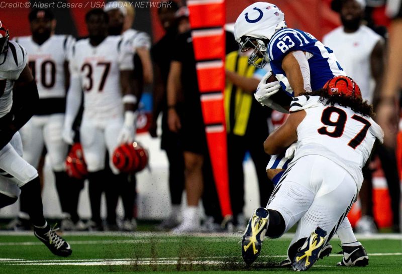 NFL Preseason Predictions