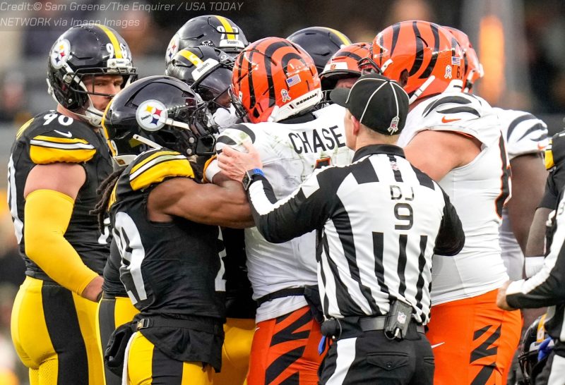 NFL week 12 prediction