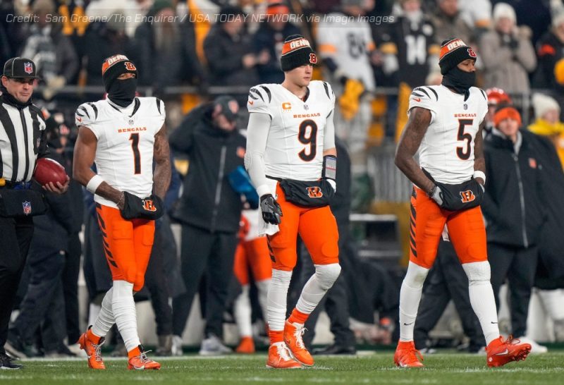 Bengals NFL Draft Picks