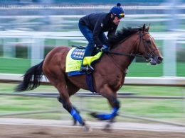 2025 kentucky derby favorities predictions