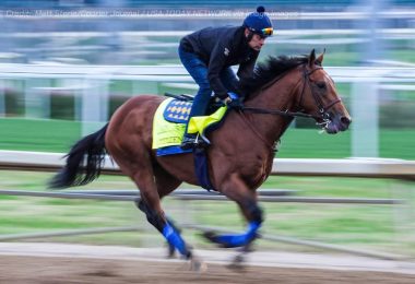 2025 kentucky derby favorities predictions