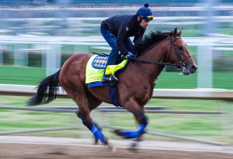 2025 kentucky derby favorities predictions