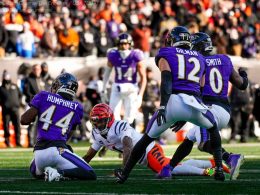 NFL week 17 match prediction